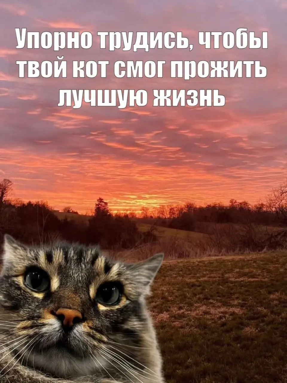 Извинитись 👀 | Сетка — социальная сеть от hh.ru