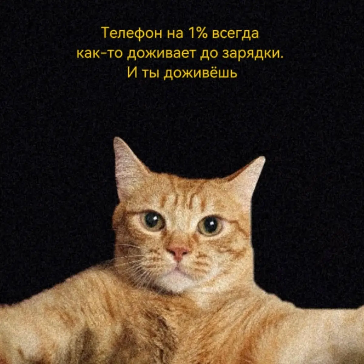 💔Я тоже выгорел, но не сдался | Сетка — социальная сеть от hh.ru