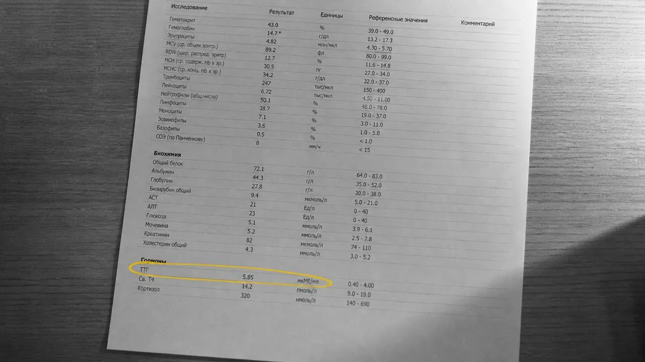 Две недели назад я опубликовала на Хабре статью «Год к психологу — а надо было сдать ТТГ». 9 183 просмотров, до сих пор приходят комментарии | Сетка — социальная сеть от hh.ru