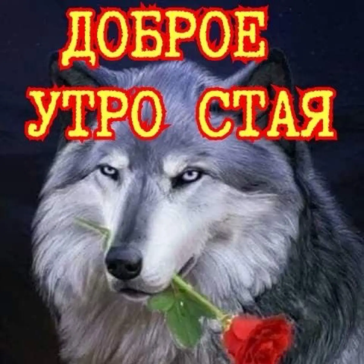 Кибер Бармалей