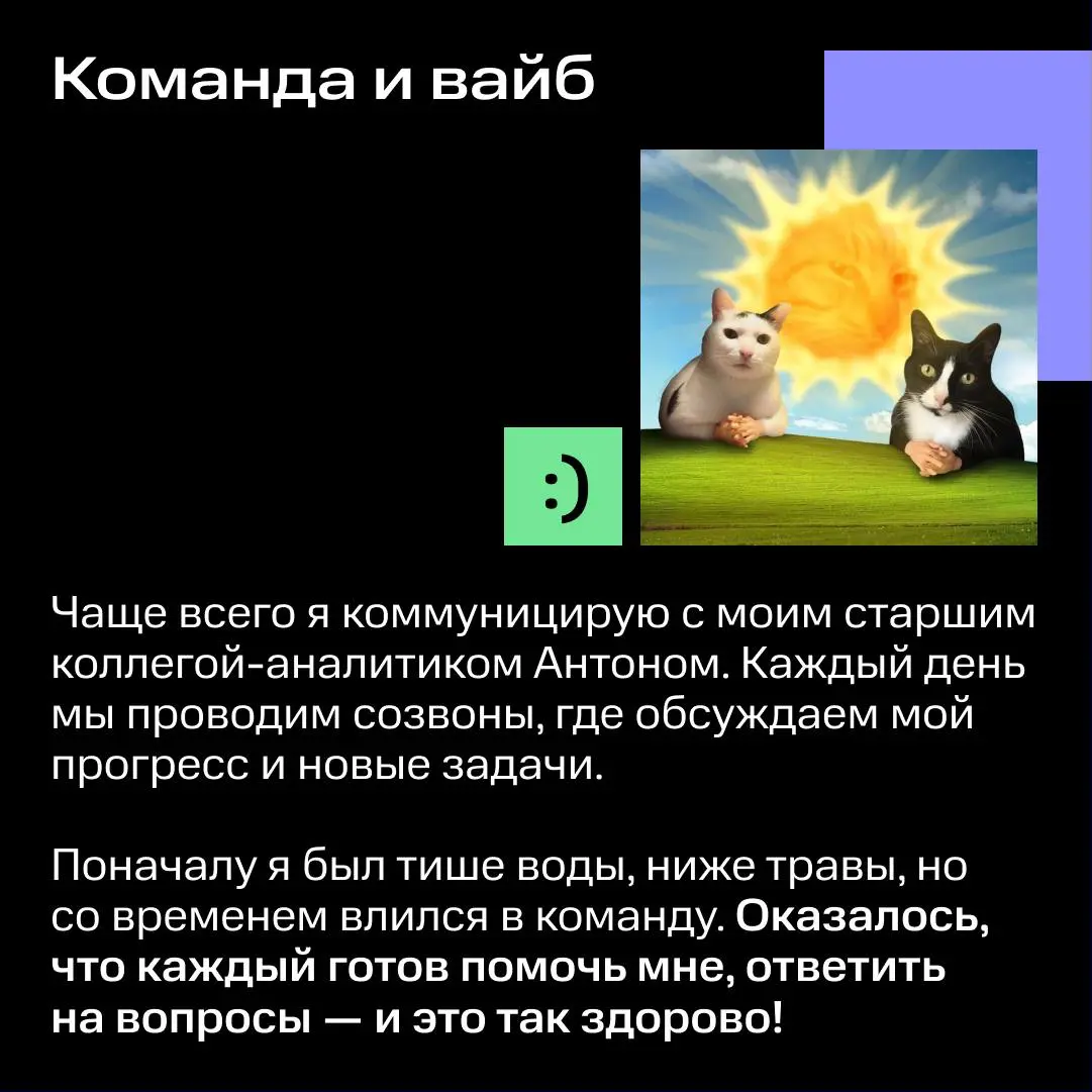 😱 Ожидание от стажировки: наблюдать и самому разбираться | Сетка — социальная сеть от hh.ru