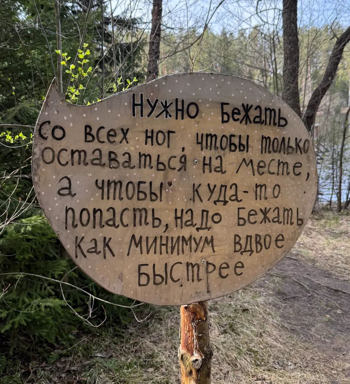 Это же про карьеру в IT? | Сетка — социальная сеть от hh.ru