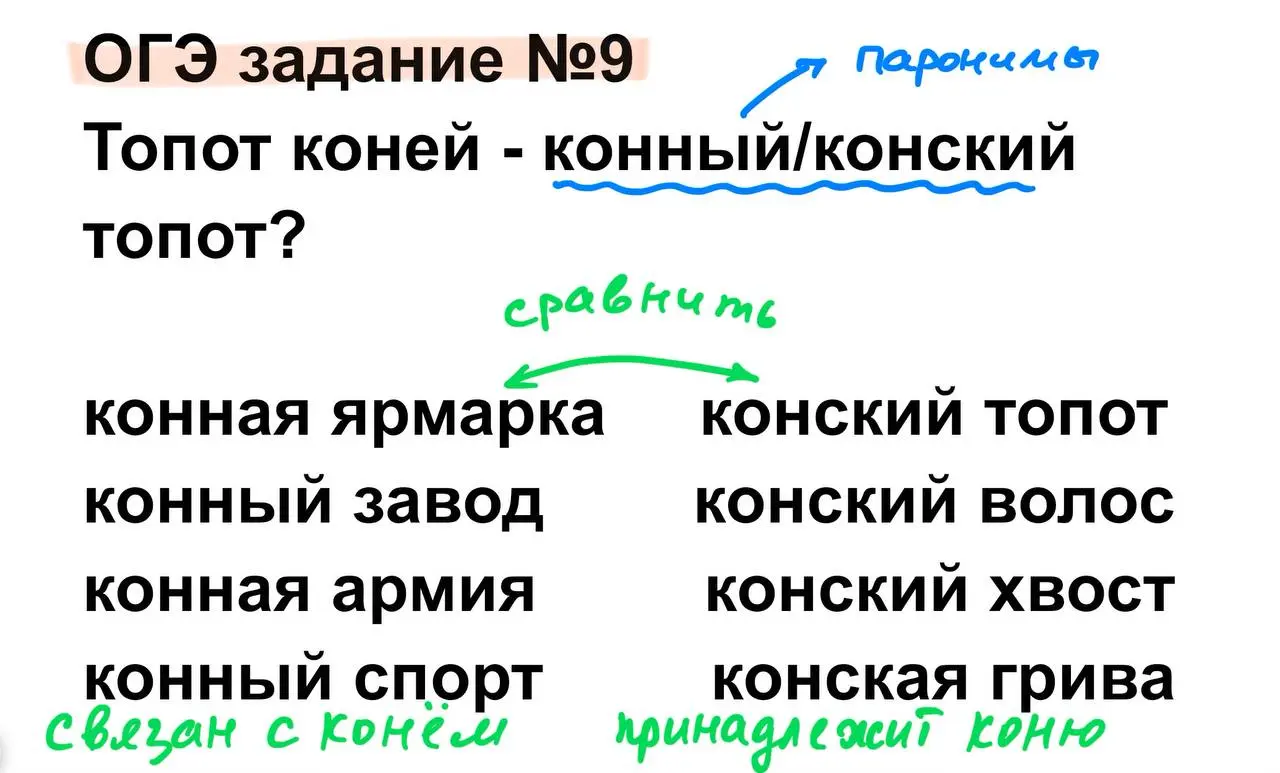➡️Писали один из статградов с 9 классами.
Некоторые ошиблись в задании №9 🤨 | Сетка — социальная сеть от hh.ru