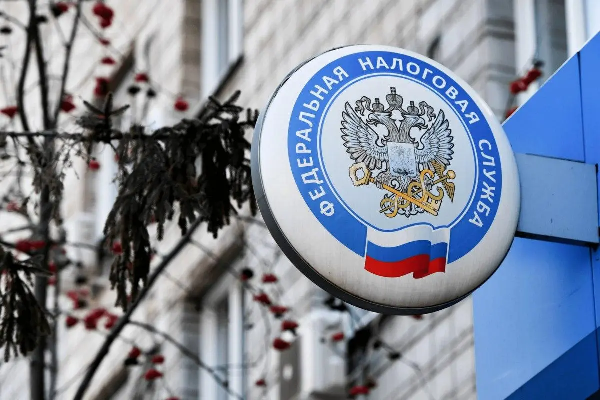 По итогам 2025 года налоговая нагрузка на бизнес выросла — она составила 11,9% относительно выручки или 15,8% с учётом страховых взносов | Сетка — социальная сеть от hh.ru