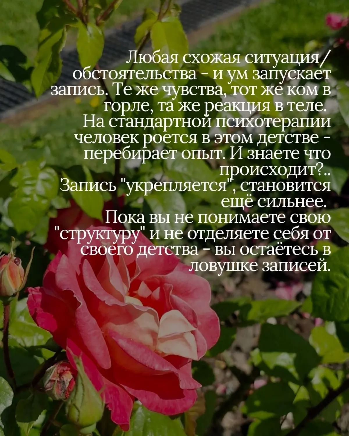 Переписывать опыт 🩷
#психология #осознанность #сознание | Сетка — социальная сеть от hh.ru