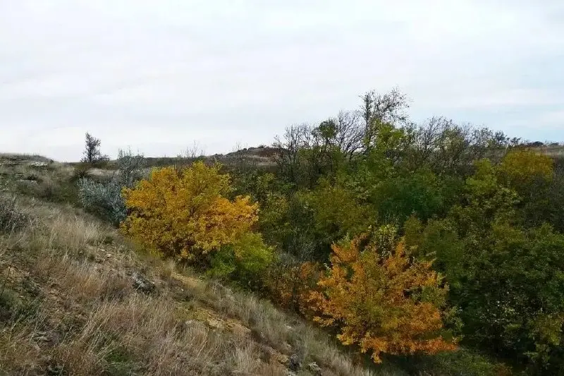 🚶‍♂️‍➡️В Ставропольском крае определили самые привлекательные туристические маршруты в заказниках
Минприроды оценило рекреационный и инвестиционный потенциал 23 заказников | Сетка — социальная сеть от hh.ru