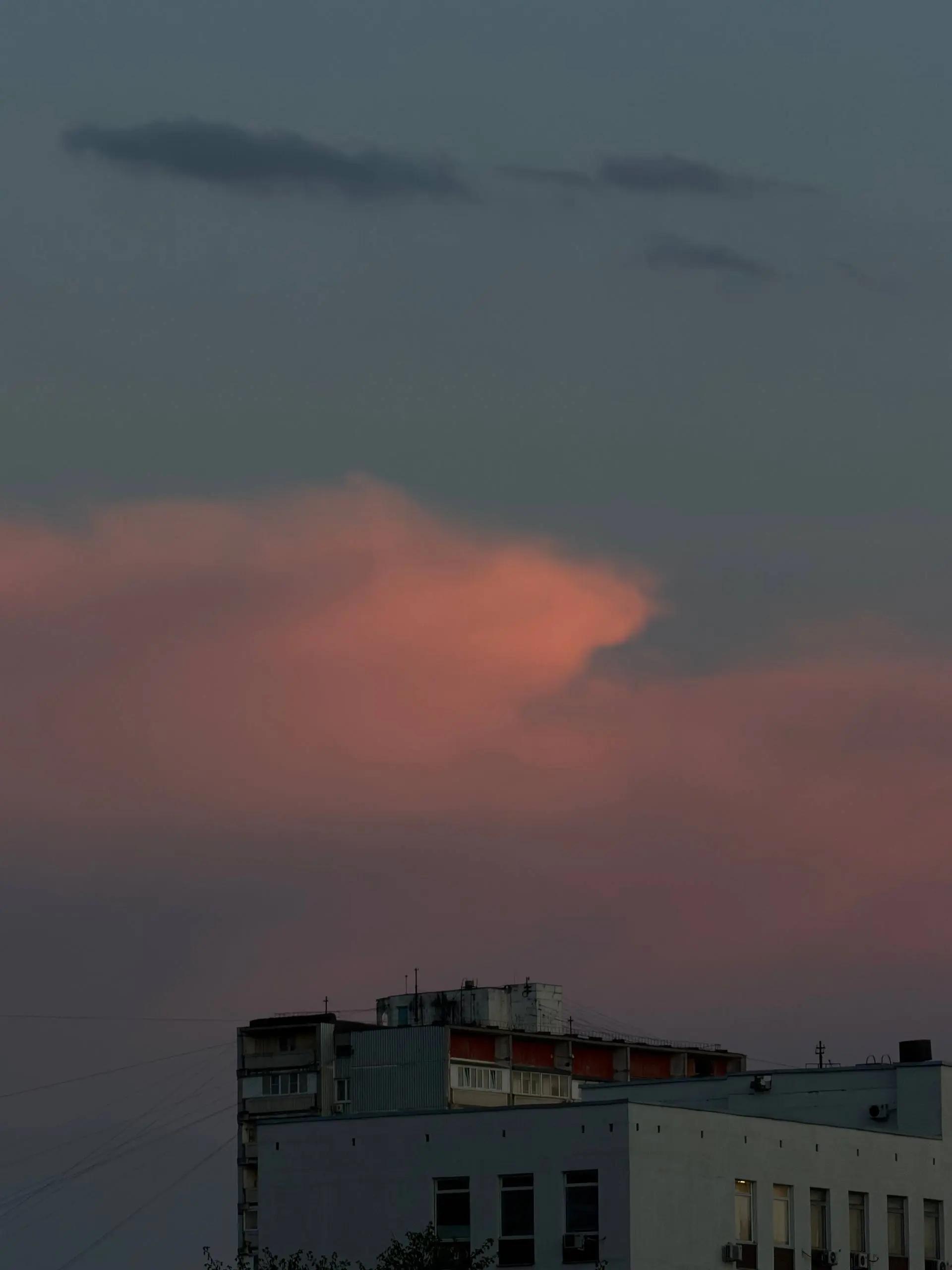 Немного картинок мая 📸 | Сетка — социальная сеть от hh.ru
