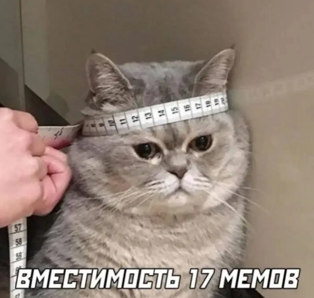 Упражнение для оперативной памяти | Сетка — социальная сеть от hh.ru