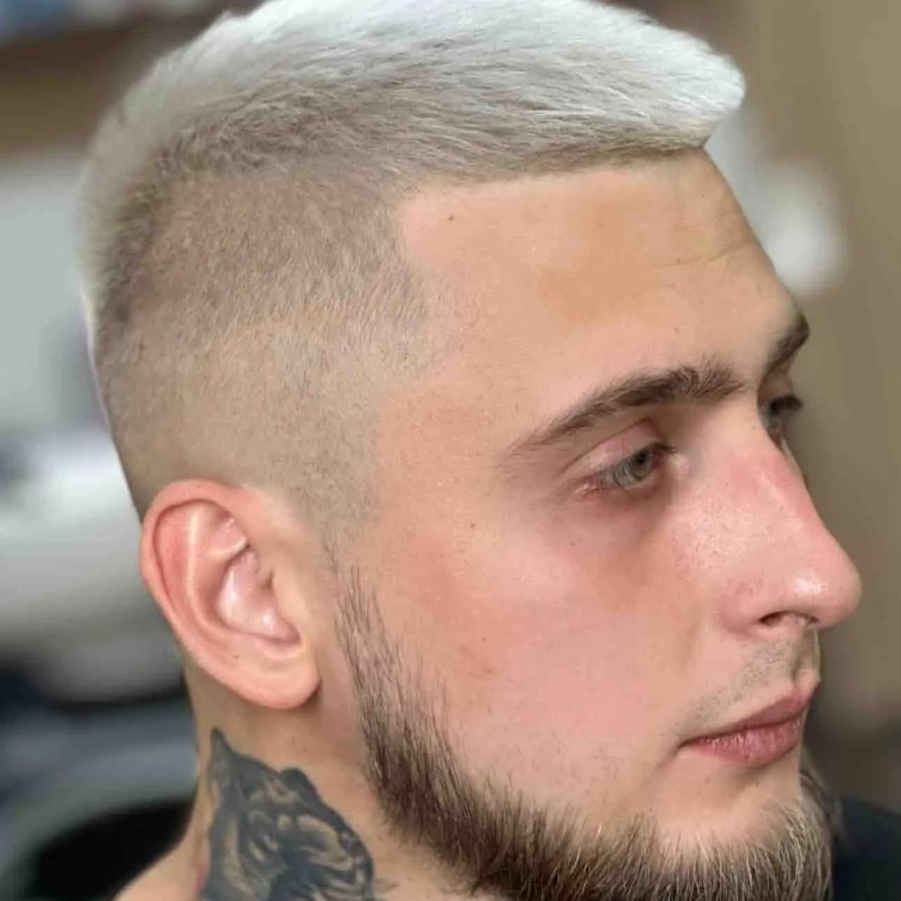 Никита Гукин