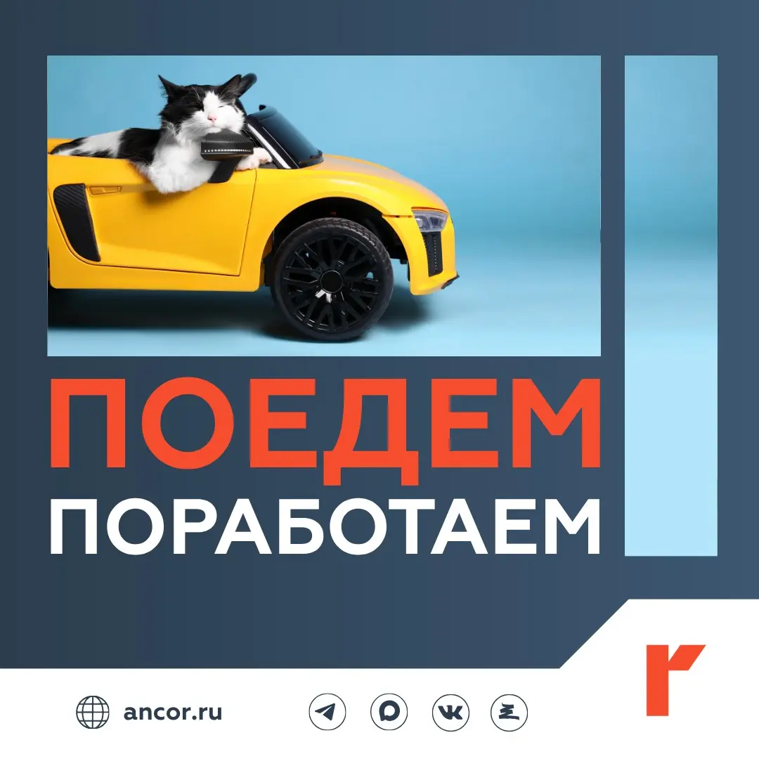 ✈️ Готовы работать за меньшую зарплату ради командировок | Сетка — социальная сеть от hh.ru