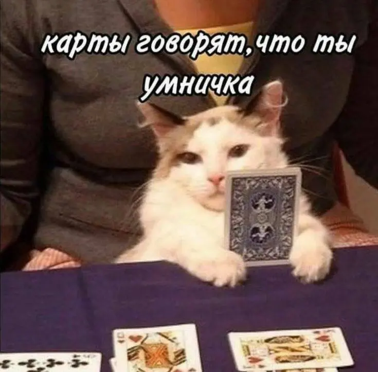 ☺️ Уже отлично, но нельзя ли «поиграться со шрифтами»?
Кажется, эту фразу хотя бы раз слышал каждый фрилансер.
Сегодня фрилансер — это не просто человек со свободным графиком и ноутбуком «где угодно» | Сетка — социальная сеть от hh.ru