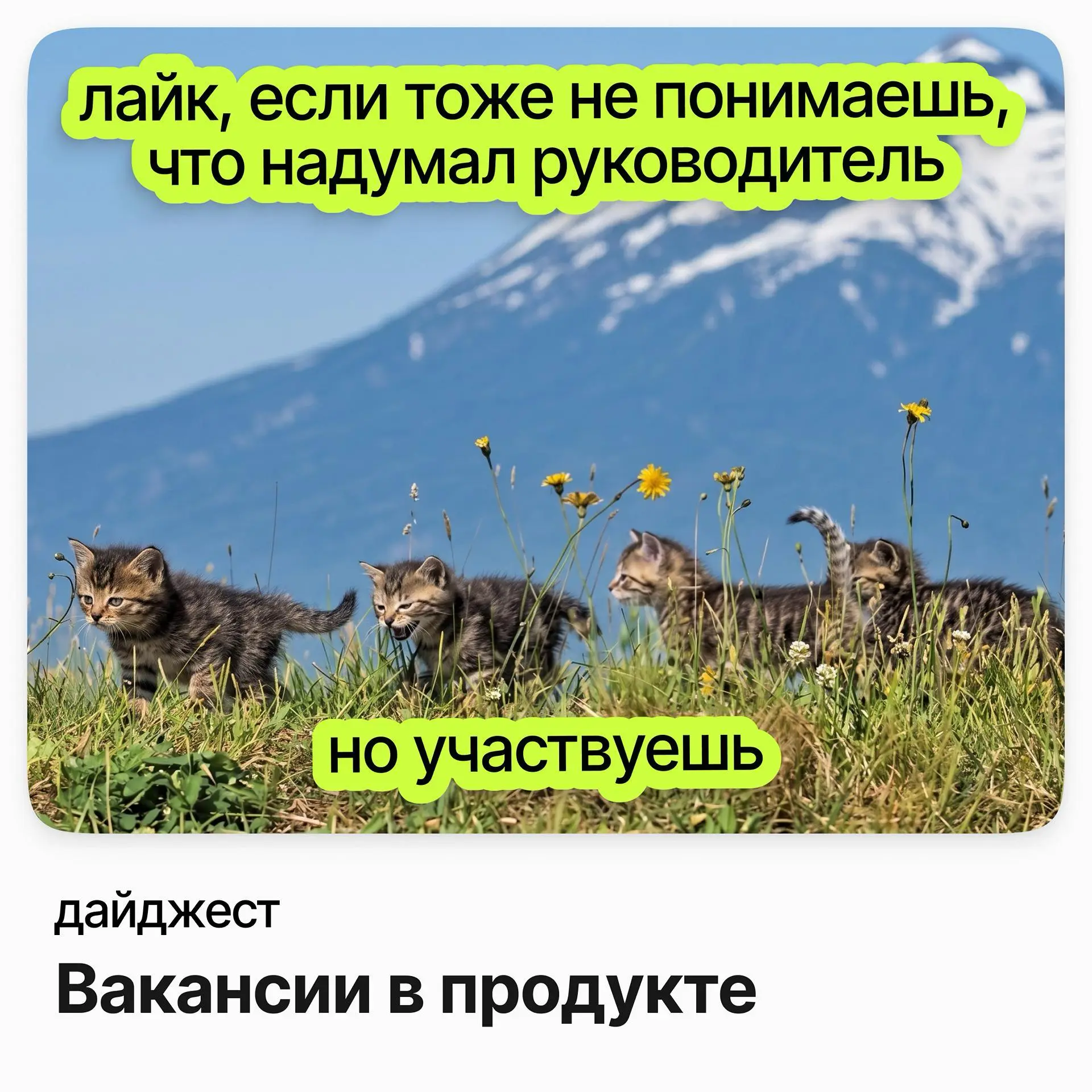 Вакансии в продукте | Сетка — социальная сеть от hh.ru