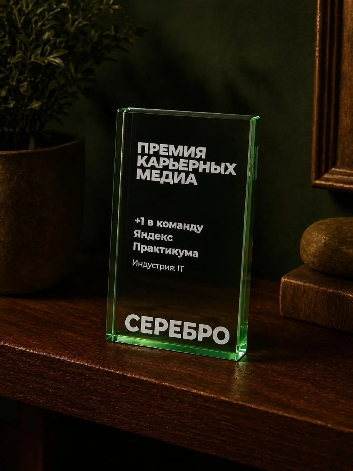 🥈Серебро на Премии карьерных медиа | Сетка — социальная сеть от hh.ru