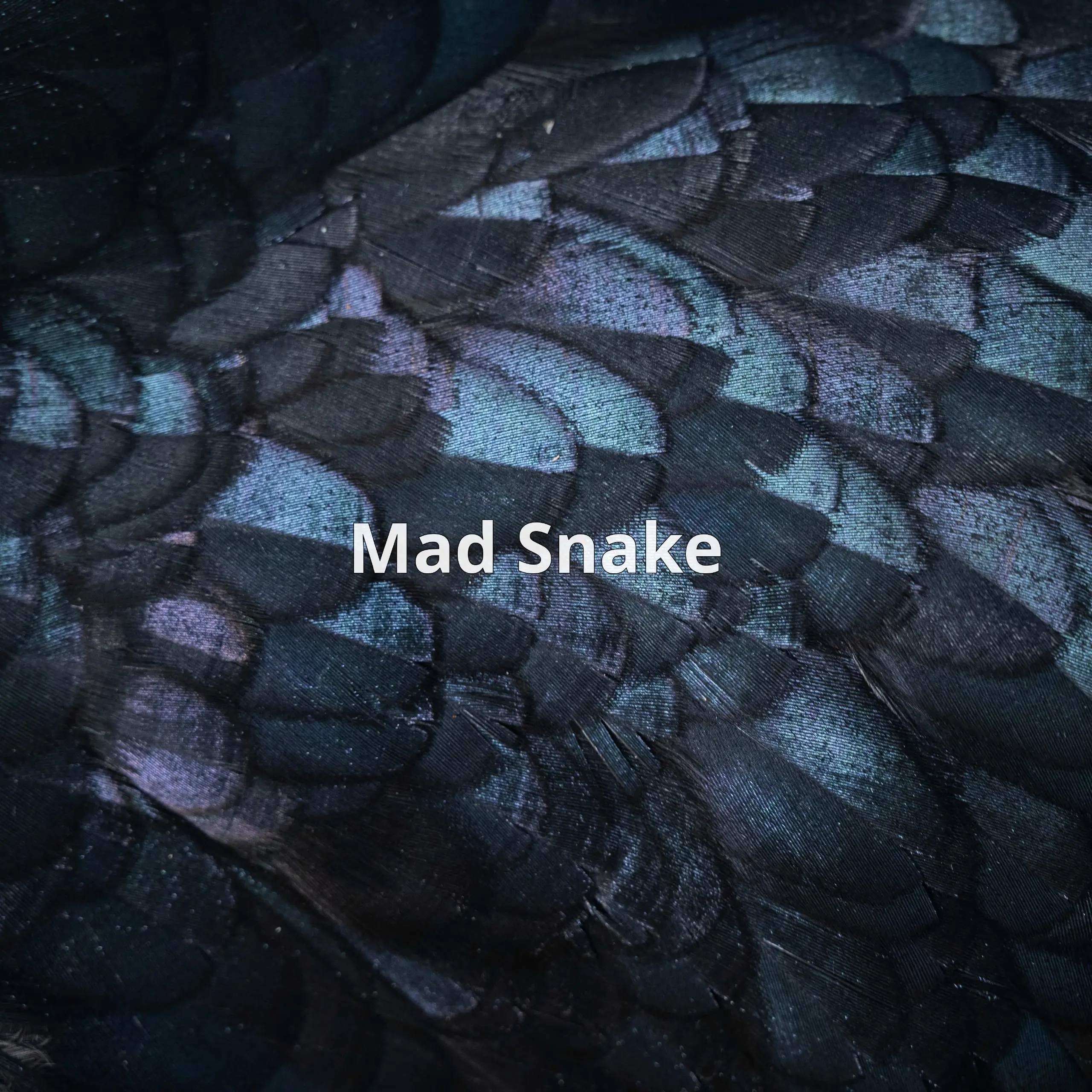 Mad Snake — это динамичная аркадная игра в蛇 для iPhone, которая представляет классическую игру с современными элементами | Сетка — социальная сеть от hh.ru