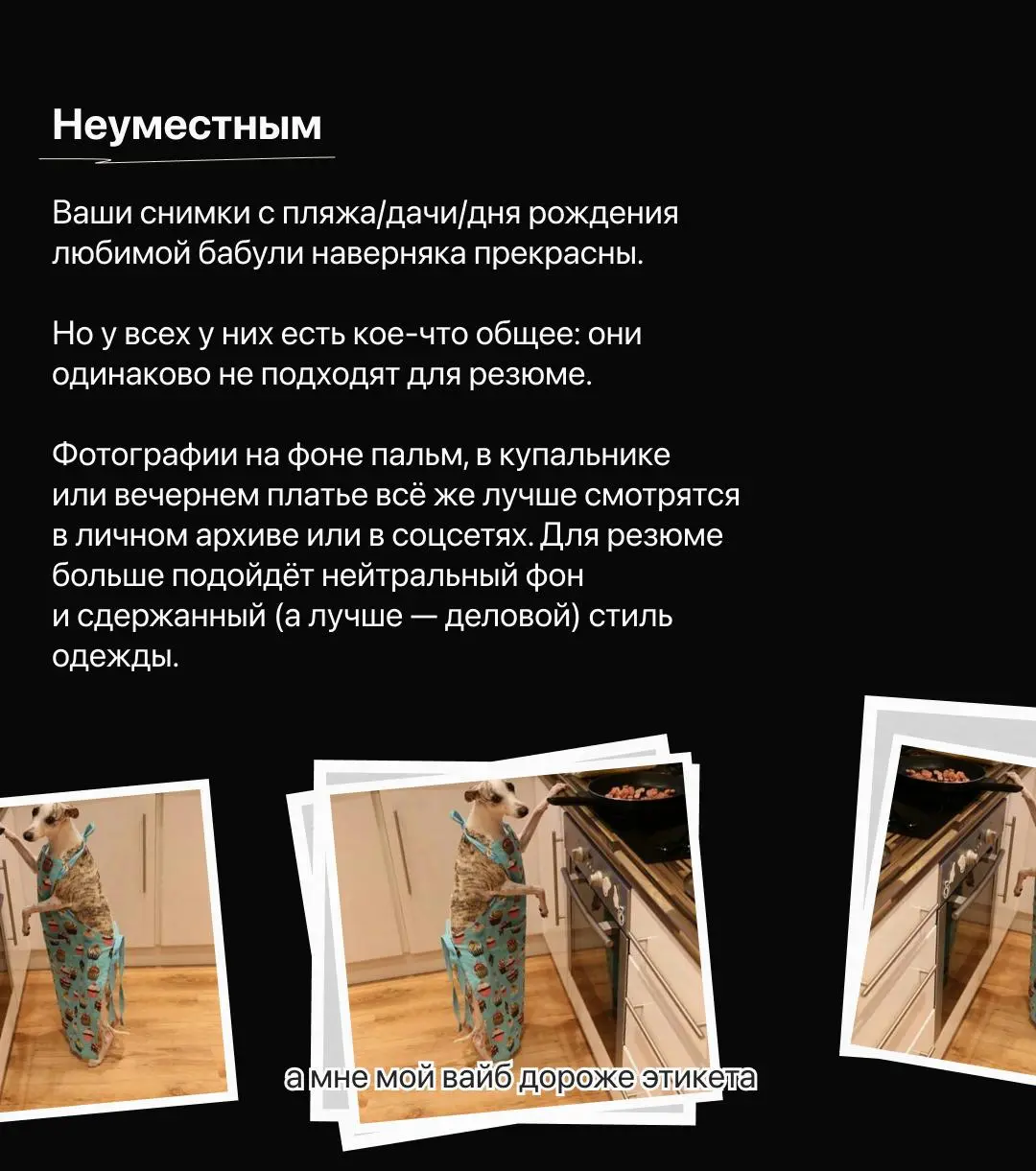 Маленькая памятка по фото для вашего резюме 😉
Если не хочется читать пост прямо сейчас — отправьте его себе в «Избранное» (мы никому не расскажем) | Сетка — социальная сеть от hh.ru
