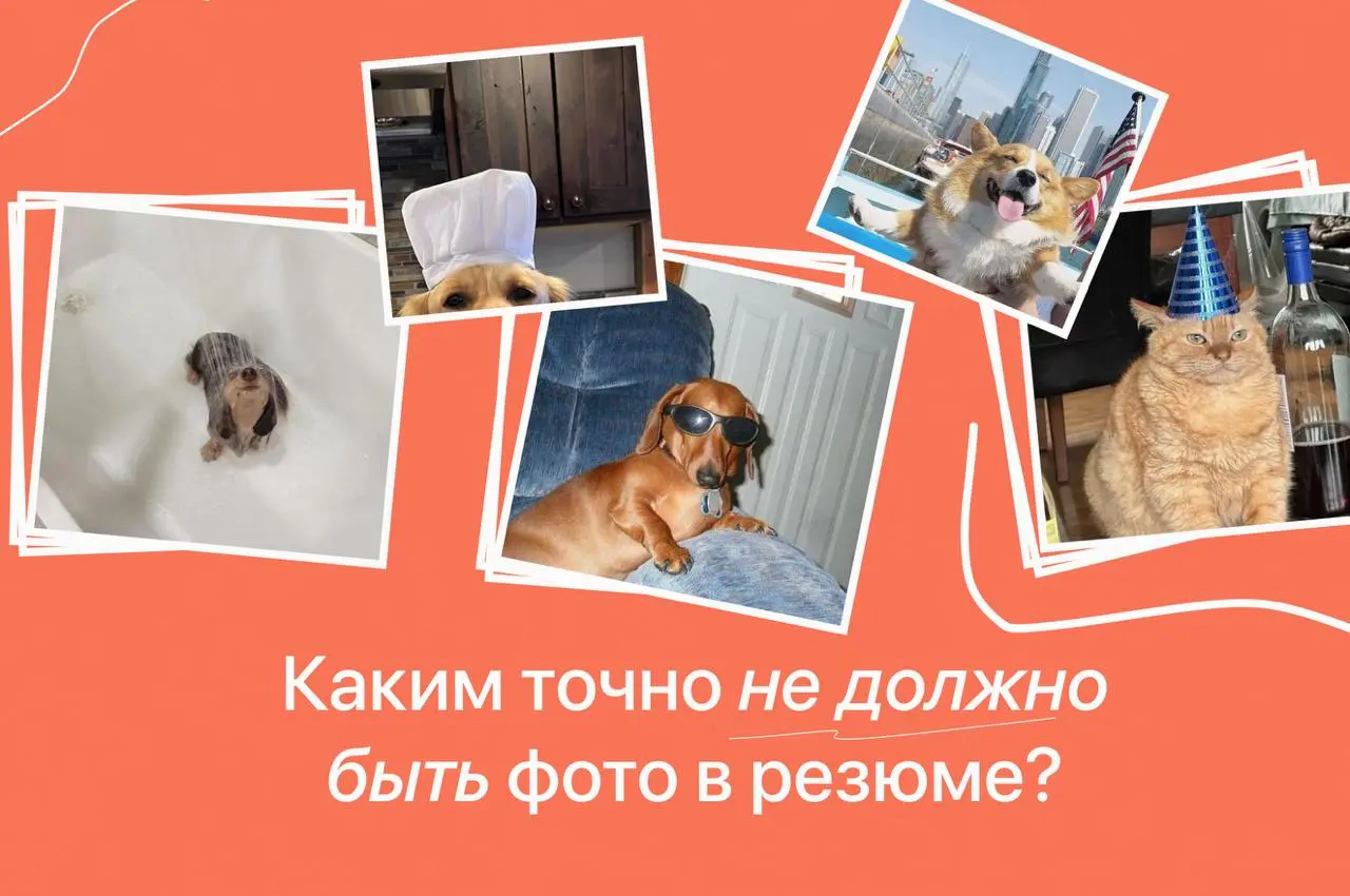 Маленькая памятка по фото для вашего резюме 😉
Если не хочется читать пост прямо сейчас — отправьте его себе в «Избранное» (мы никому не расскажем) | Сетка — социальная сеть от hh.ru