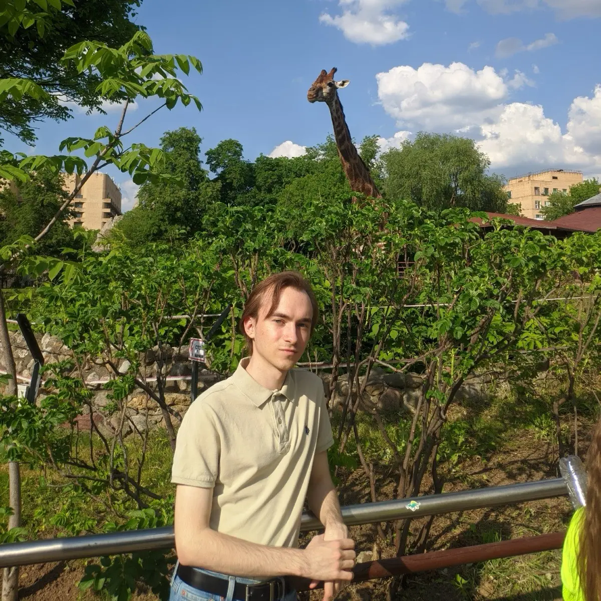 Network member avatar