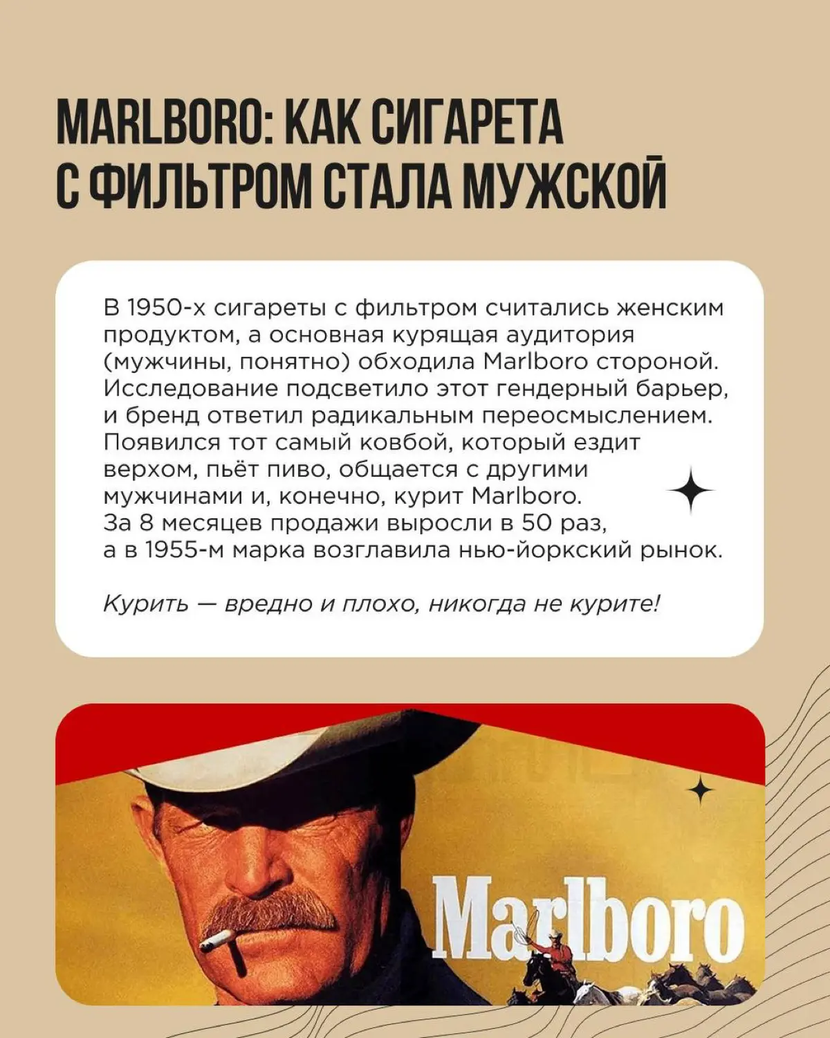 Когда бренд перестаёт строить догадки и начинает по-настоящему изучать аудиторию, рынок и свою нишу на нём, конкурентов, картина иногда меняется до неузнаваемости | Сетка — социальная сеть от hh.ru