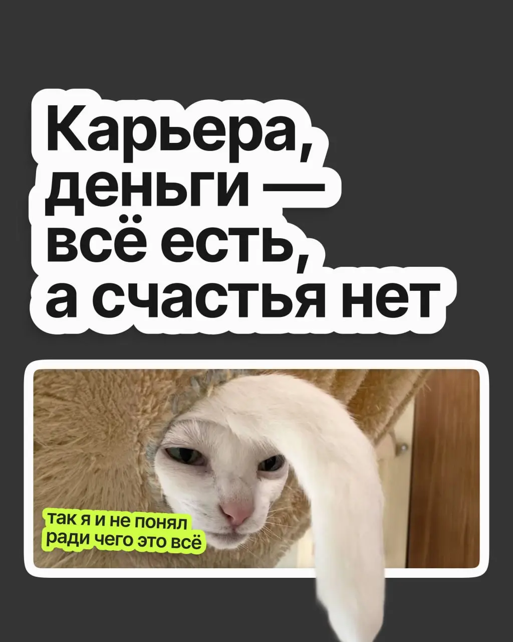Хорошая должность и зарплата, приятная команда и руководство — в общем, карьера удалась | Сетка — социальная сеть от hh.ru