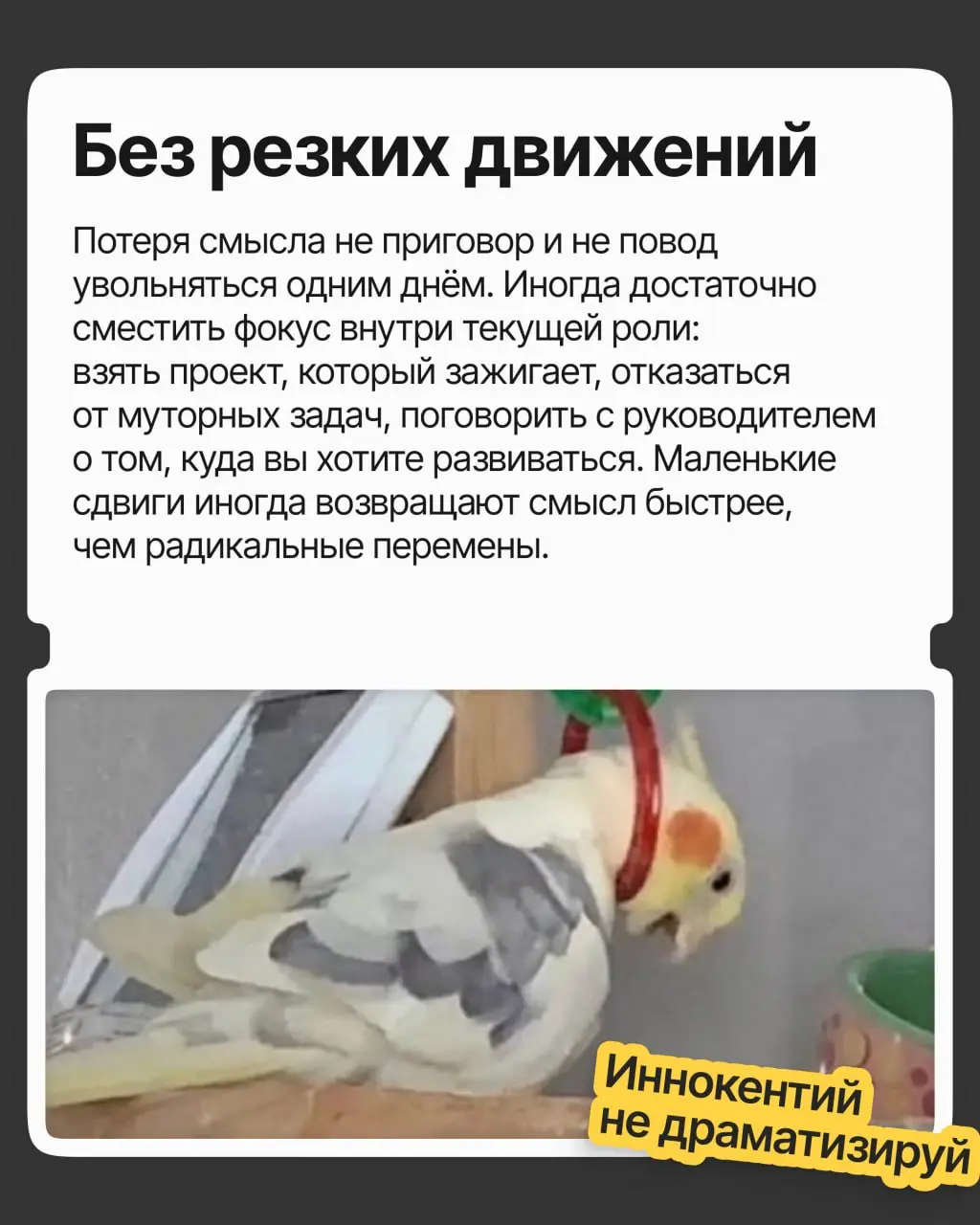 Хорошая должность и зарплата, приятная команда и руководство — в общем, карьера удалась | Сетка — социальная сеть от hh.ru