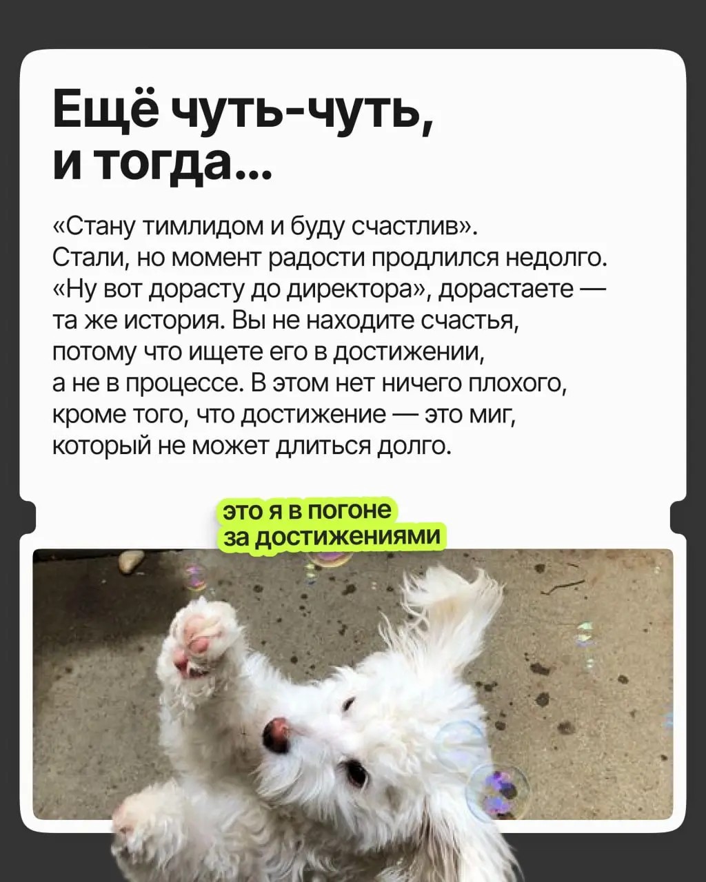 Хорошая должность и зарплата, приятная команда и руководство — в общем, карьера удалась | Сетка — социальная сеть от hh.ru