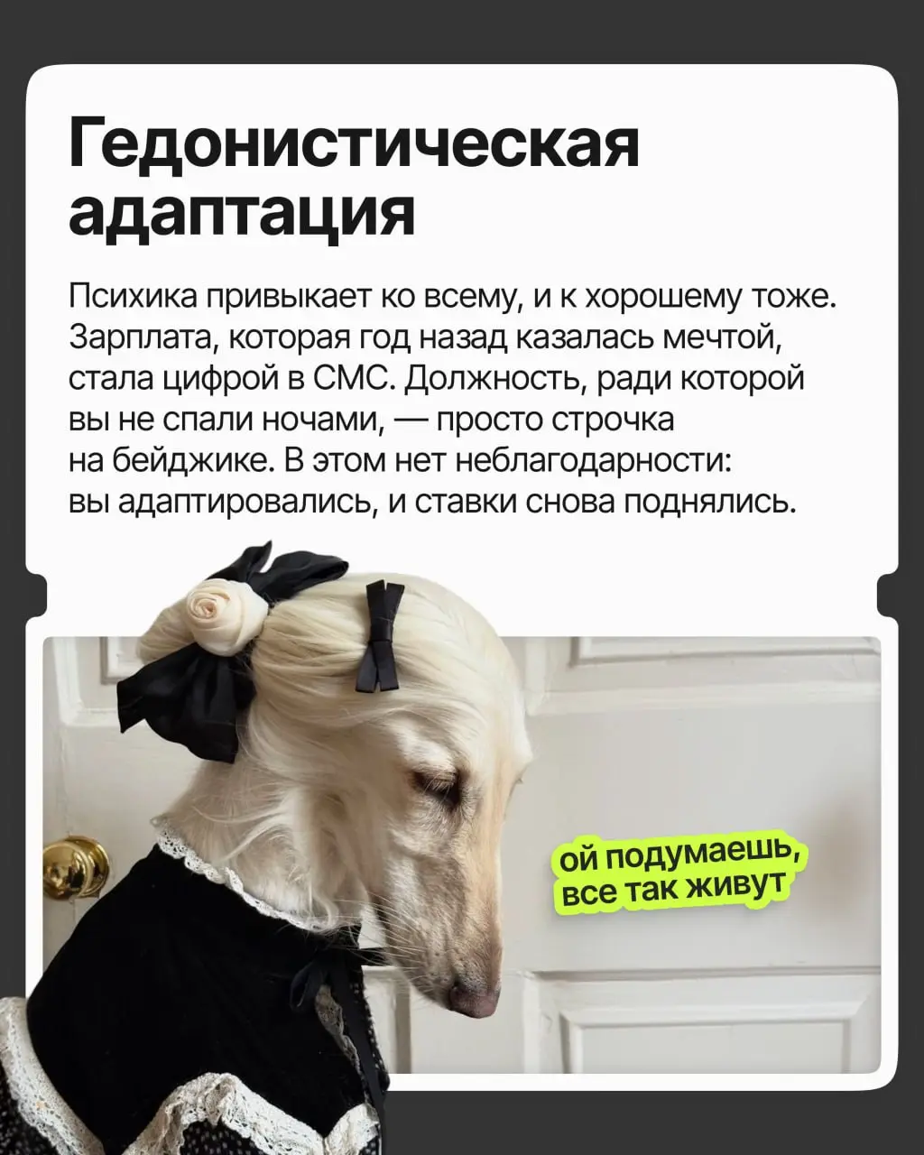 Хорошая должность и зарплата, приятная команда и руководство — в общем, карьера удалась | Сетка — социальная сеть от hh.ru