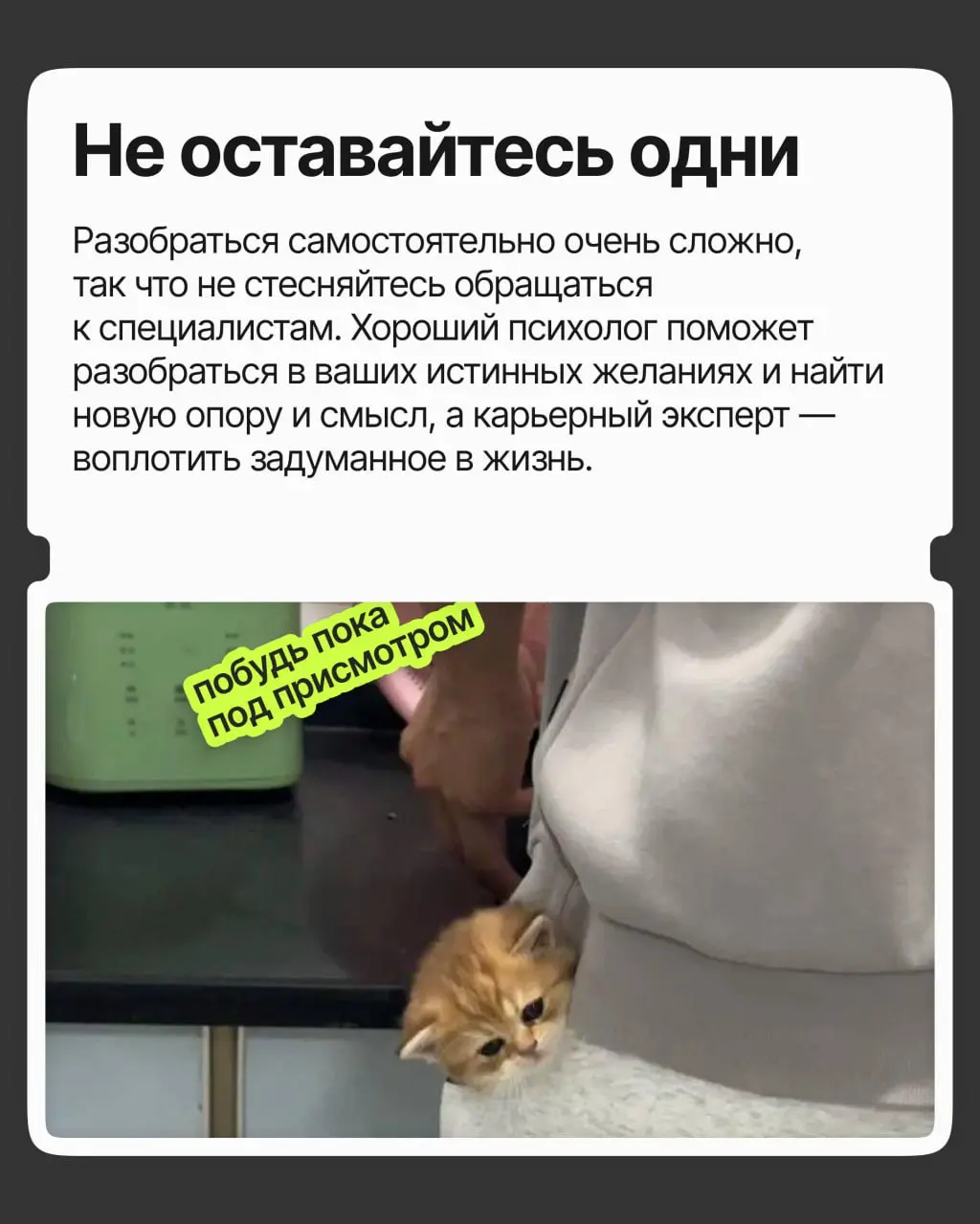 Хорошая должность и зарплата, приятная команда и руководство — в общем, карьера удалась | Сетка — социальная сеть от hh.ru