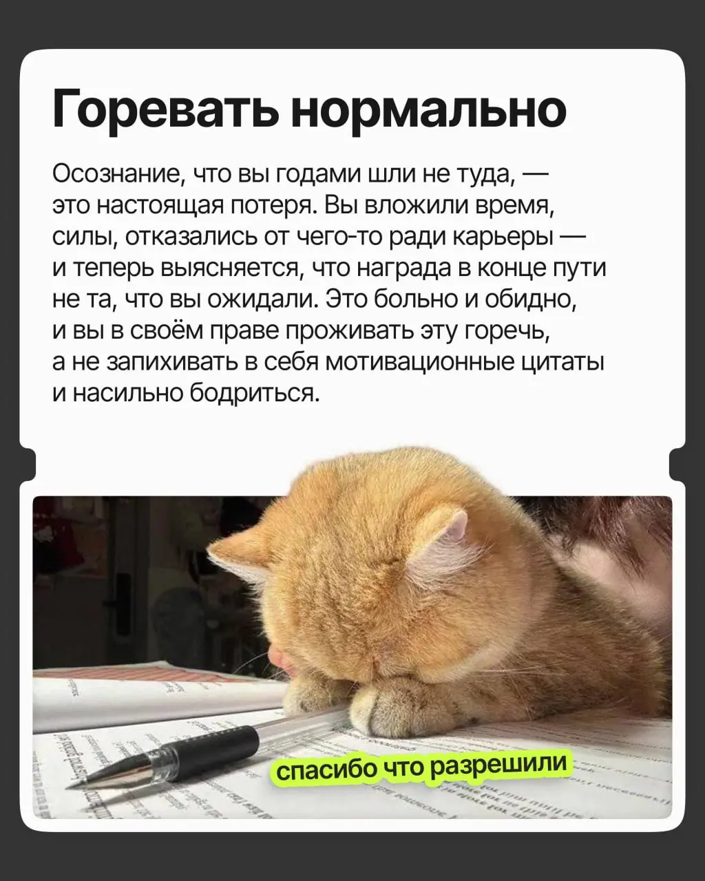 Хорошая должность и зарплата, приятная команда и руководство — в общем, карьера удалась | Сетка — социальная сеть от hh.ru