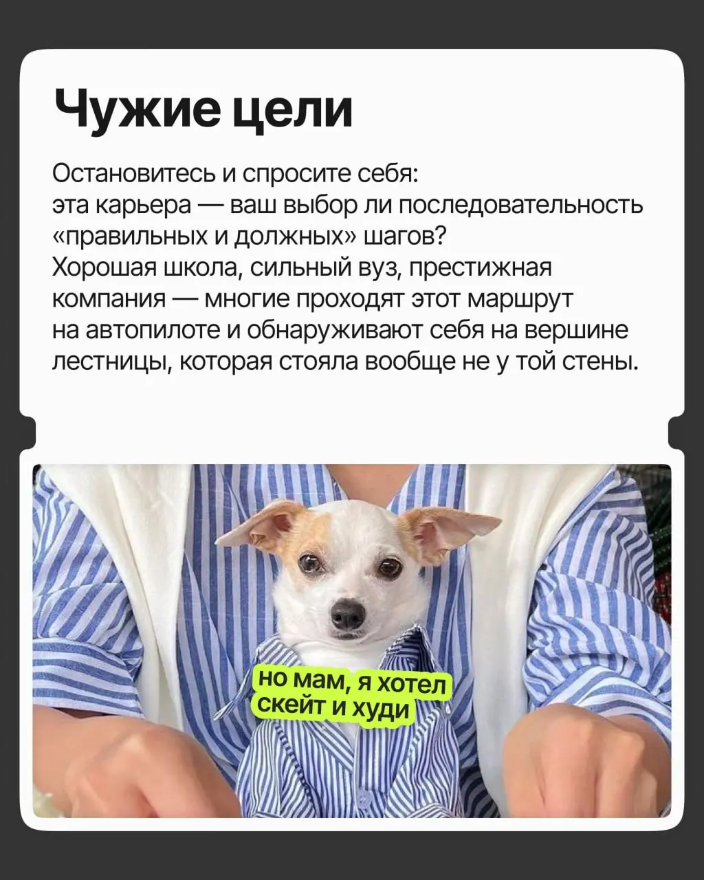 Хорошая должность и зарплата, приятная команда и руководство — в общем, карьера удалась | Сетка — социальная сеть от hh.ru