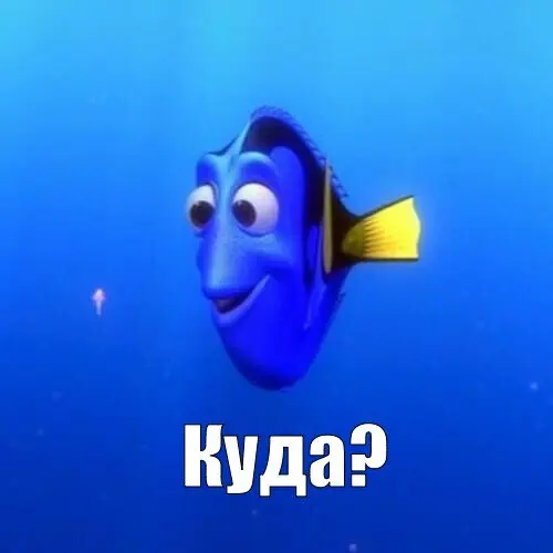 Товарищи-юристы и сочувствующие!
Назрел вопрос о плавном (а может не очень) переходе в новую сферу.
Мне не даёт покоя возможность для специалистов поступить в магистратуру на бюджет | Сетка — социальная сеть от hh.ru