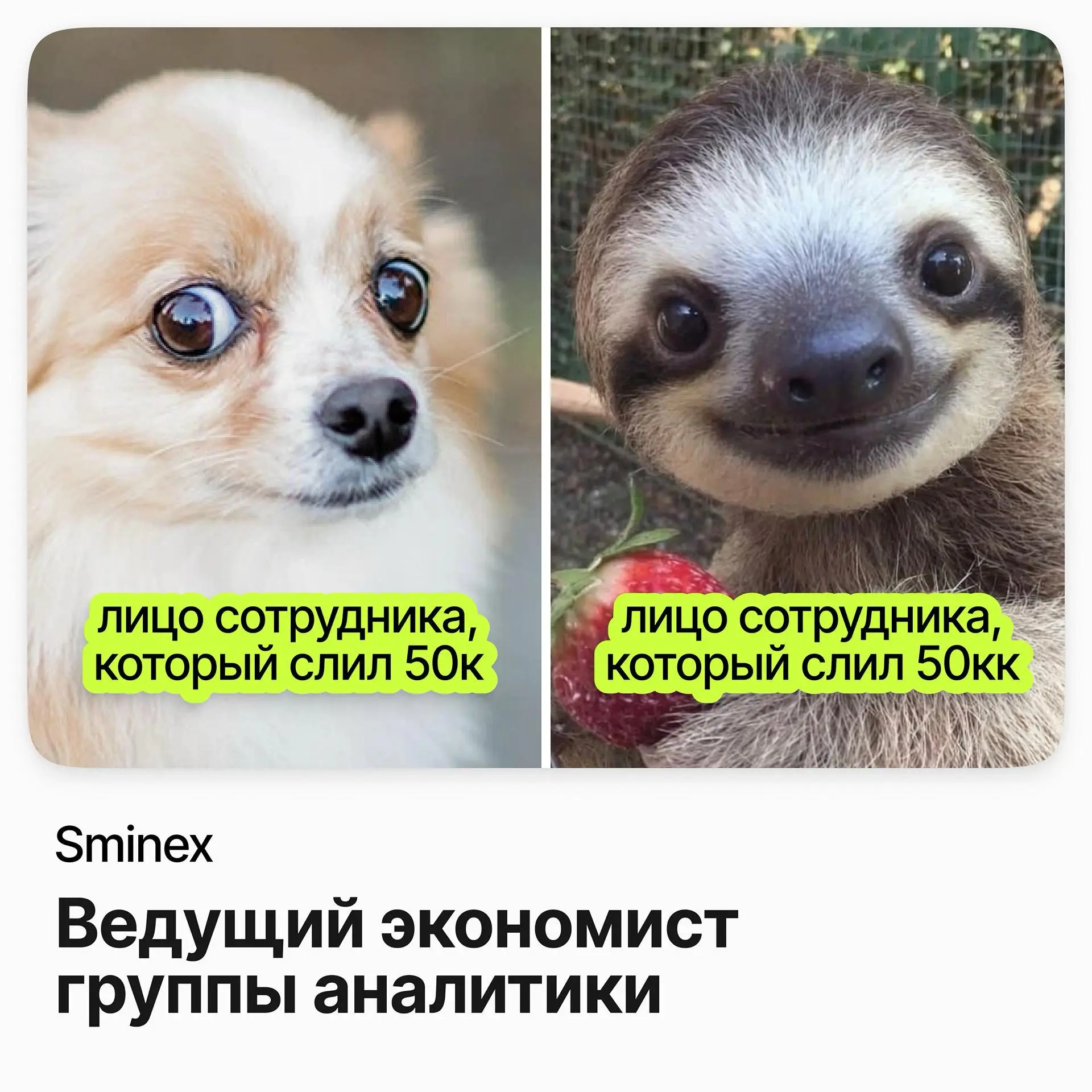 Ведущий экономист группы аналитики / Sminex | Сетка — социальная сеть от hh.ru