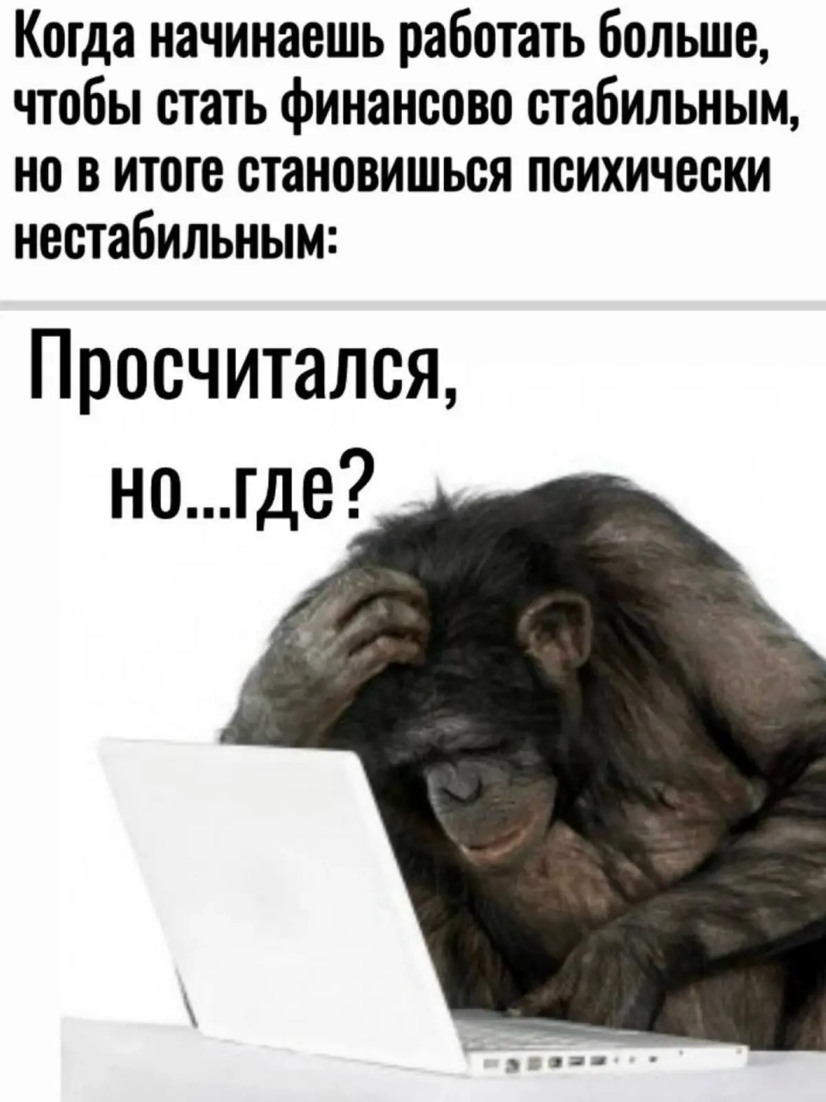 Любимые мемы про работу и не только. | Сетка — социальная сеть от hh.ru