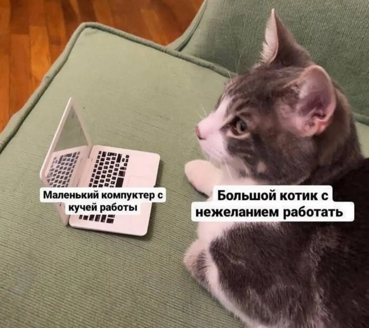 мемов принесла | Сетка — социальная сеть от hh.ru
