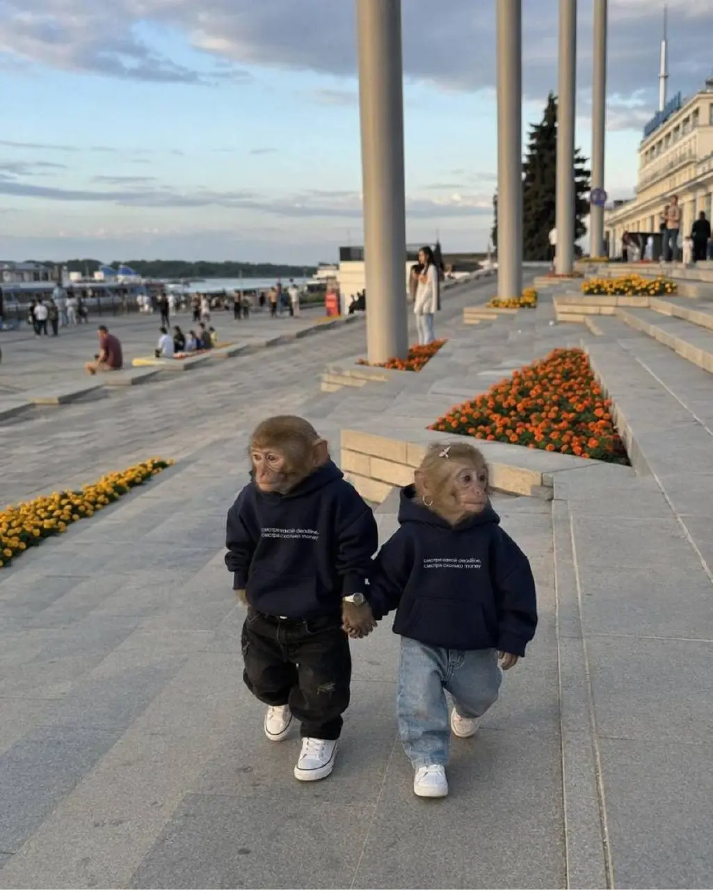 Глупая эволюция… Сидел бы сейчас на дереве и бананы ел, а не в офисе отчеты закрывал 🐒
thefrase.ru | Сетка — социальная сеть от hh.ru