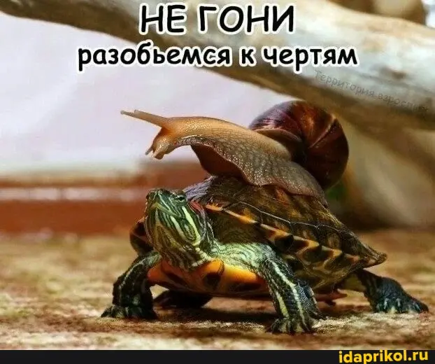 Правило крупного корпа | Сетка — социальная сеть от hh.ru