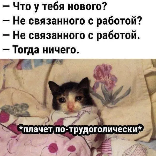 Проведите активно выходные 📺 | Сетка — социальная сеть от hh.ru