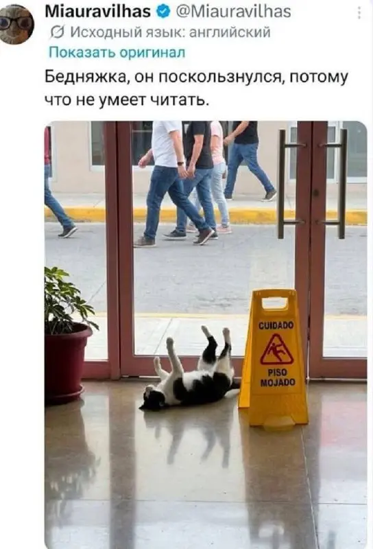 Доброе утро! 📻
Сегодня привычного утреннего выпуска «Маркетингового стыда» не будет, выхожу «в эфир» просто для того, чтобы пожелать вам отличной пятницы
Помню, как Пивоваров извинялся в своем канале ... | Сетка — социальная сеть от hh.ru
