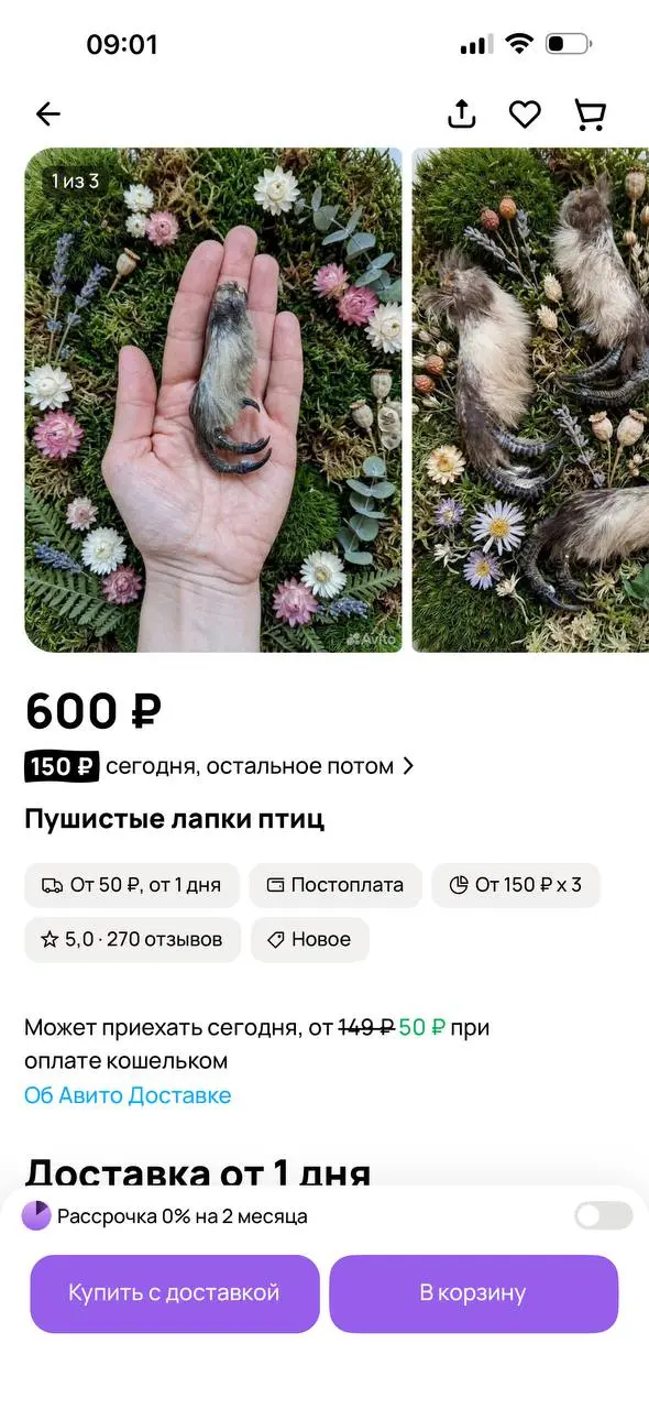 Мы это покупаем | Сетка — социальная сеть от hh.ru