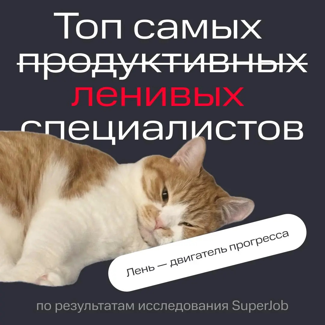 😴 🛏️ Сааааамые ленивые профессии | Сетка — социальная сеть от hh.ru