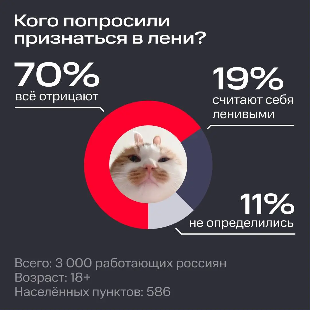 😴 🛏️ Сааааамые ленивые профессии | Сетка — социальная сеть от hh.ru