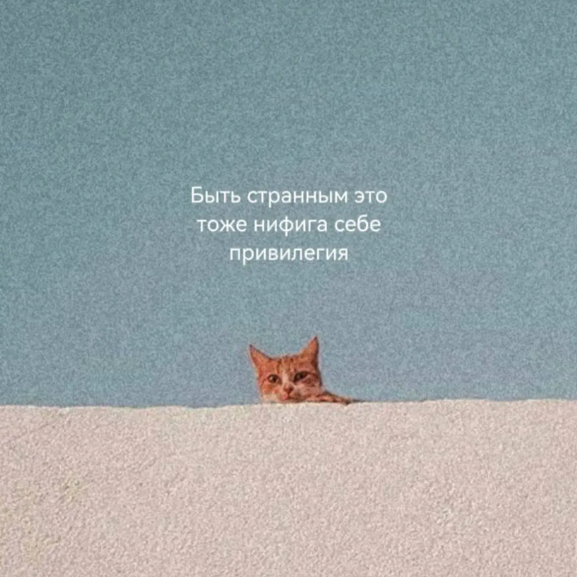 Пятницааа | Сетка — социальная сеть от hh.ru