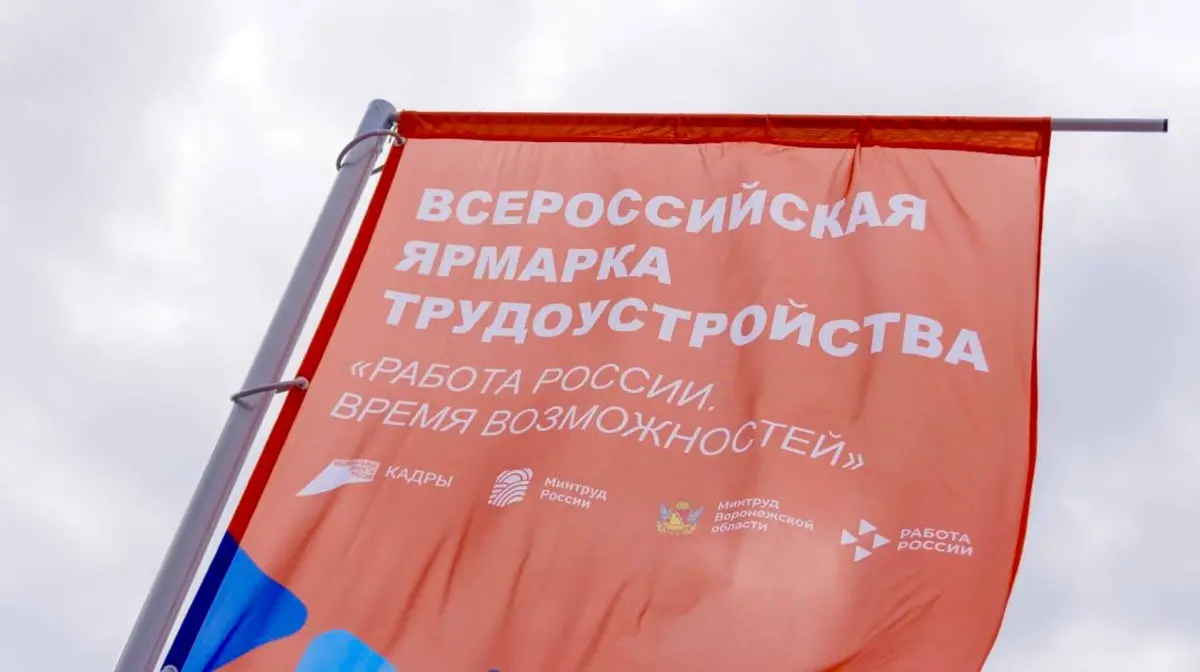 Работа Работа приди для  Федота | Сетка — социальная сеть от hh.ru