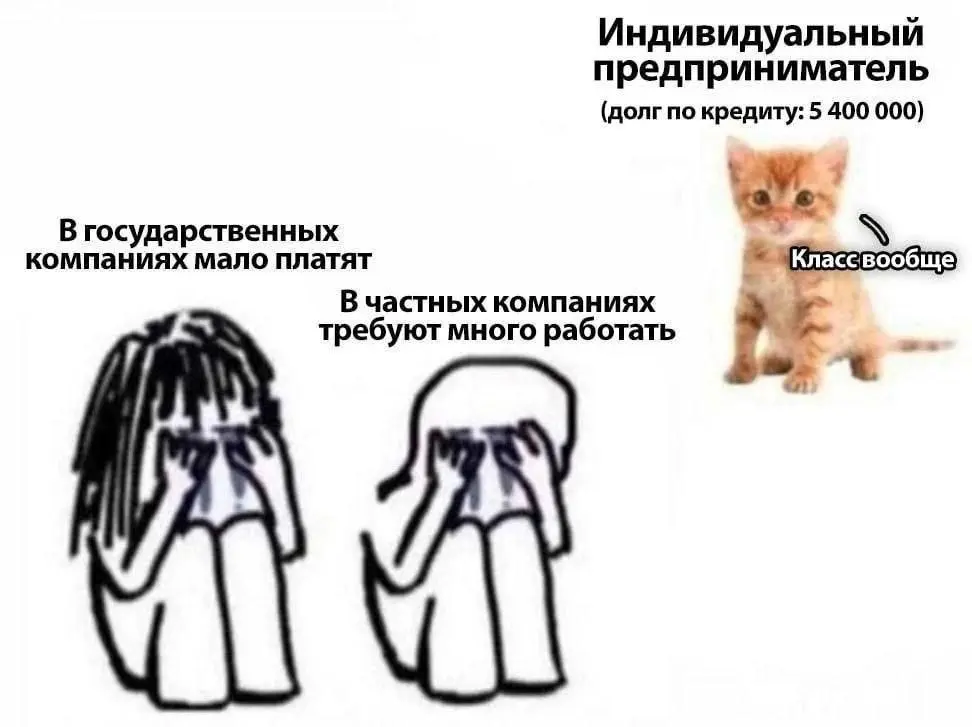 Котику теперь некогда плакать | Сетка — социальная сеть от hh.ru