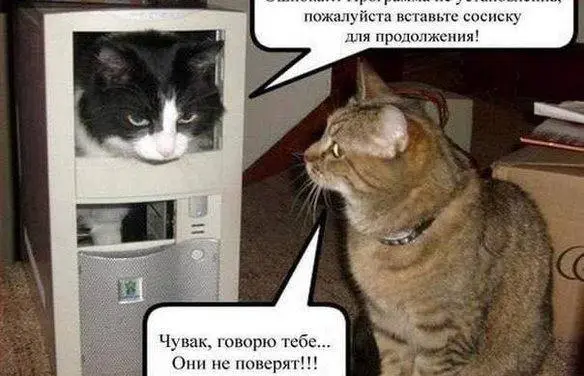 Парсер работает. Почему тогда в отчётах появляются ошибки?
Разово собрать каталог товаров несложно | Сетка — социальная сеть от hh.ru