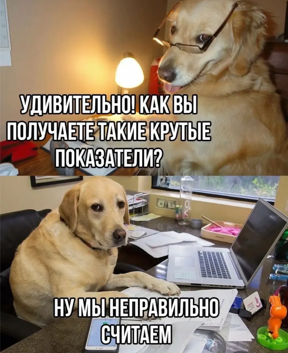 Недавно видел  новость… | Сетка — социальная сеть от hh.ru
