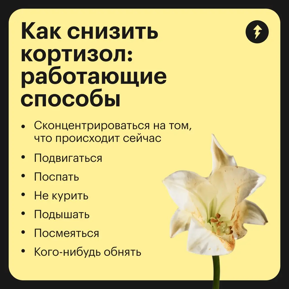 🙂 И погладить котика!
Здоровый организм сам управляет уровнем кортизола и увеличивает или уменьшает его в нужные моменты | Сетка — социальная сеть от hh.ru