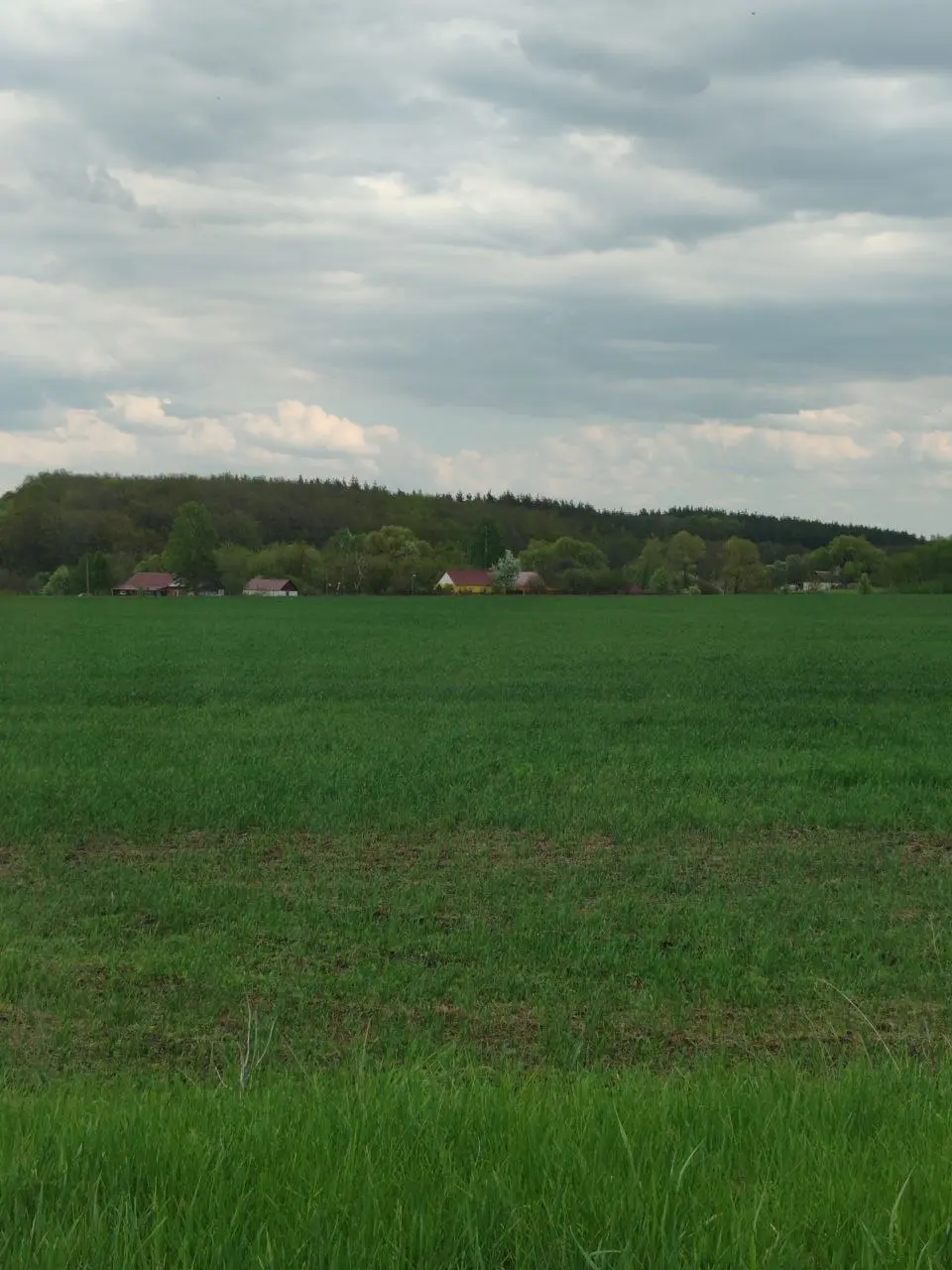 Вспомнил, что канал у меня не только про Security, но и немного про Life — потому покажу Вам момент из жизни
Тем более в выходные совсем не хочется напрягаться, уверен, Вы со мной согласитесь)
Давно н... | Сетка — социальная сеть от hh.ru