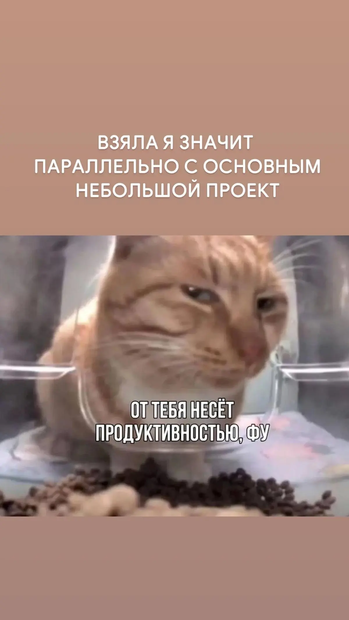 Как вам кейс? | Сетка — социальная сеть от hh.ru