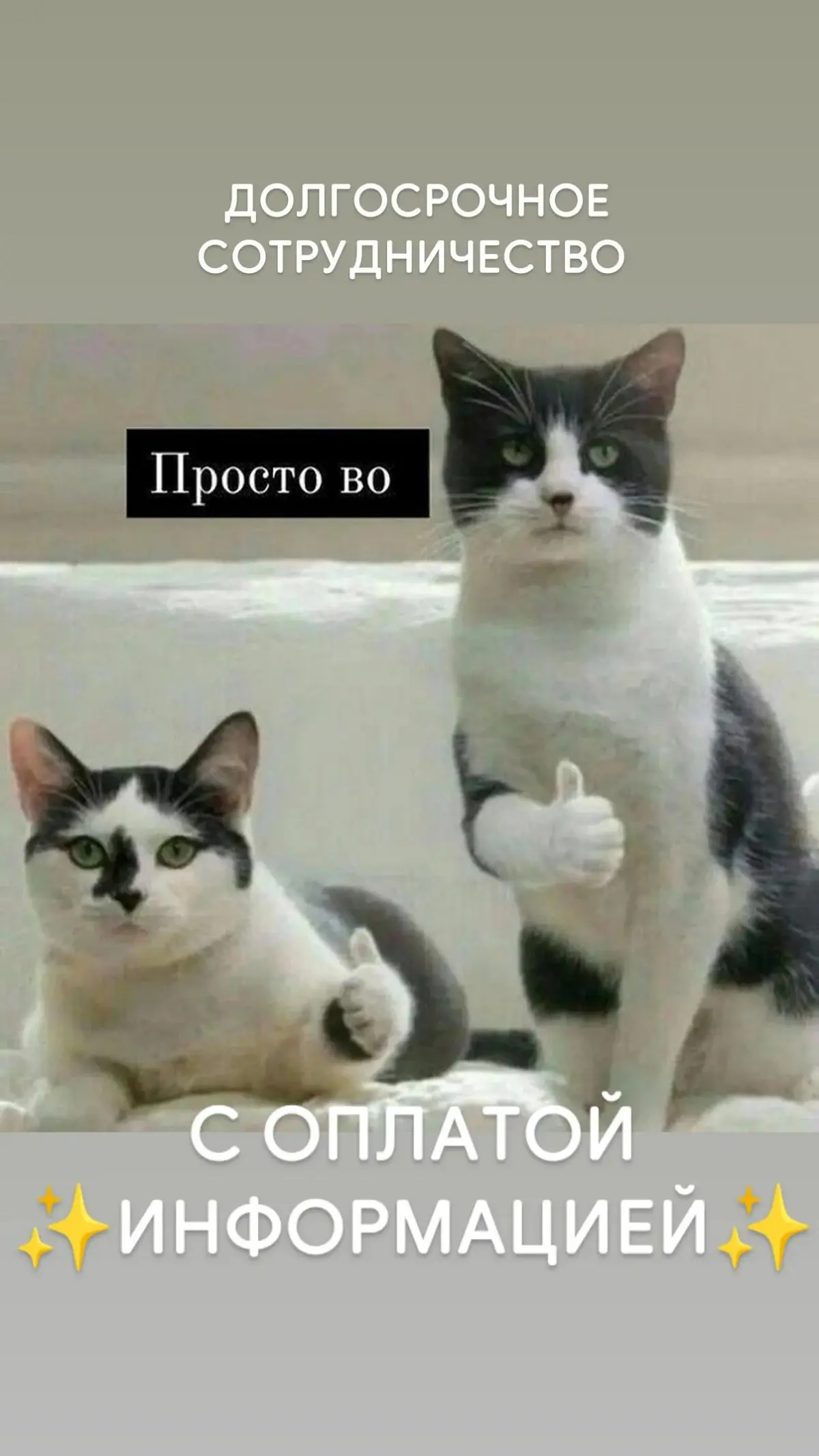 Как вам кейс? | Сетка — социальная сеть от hh.ru