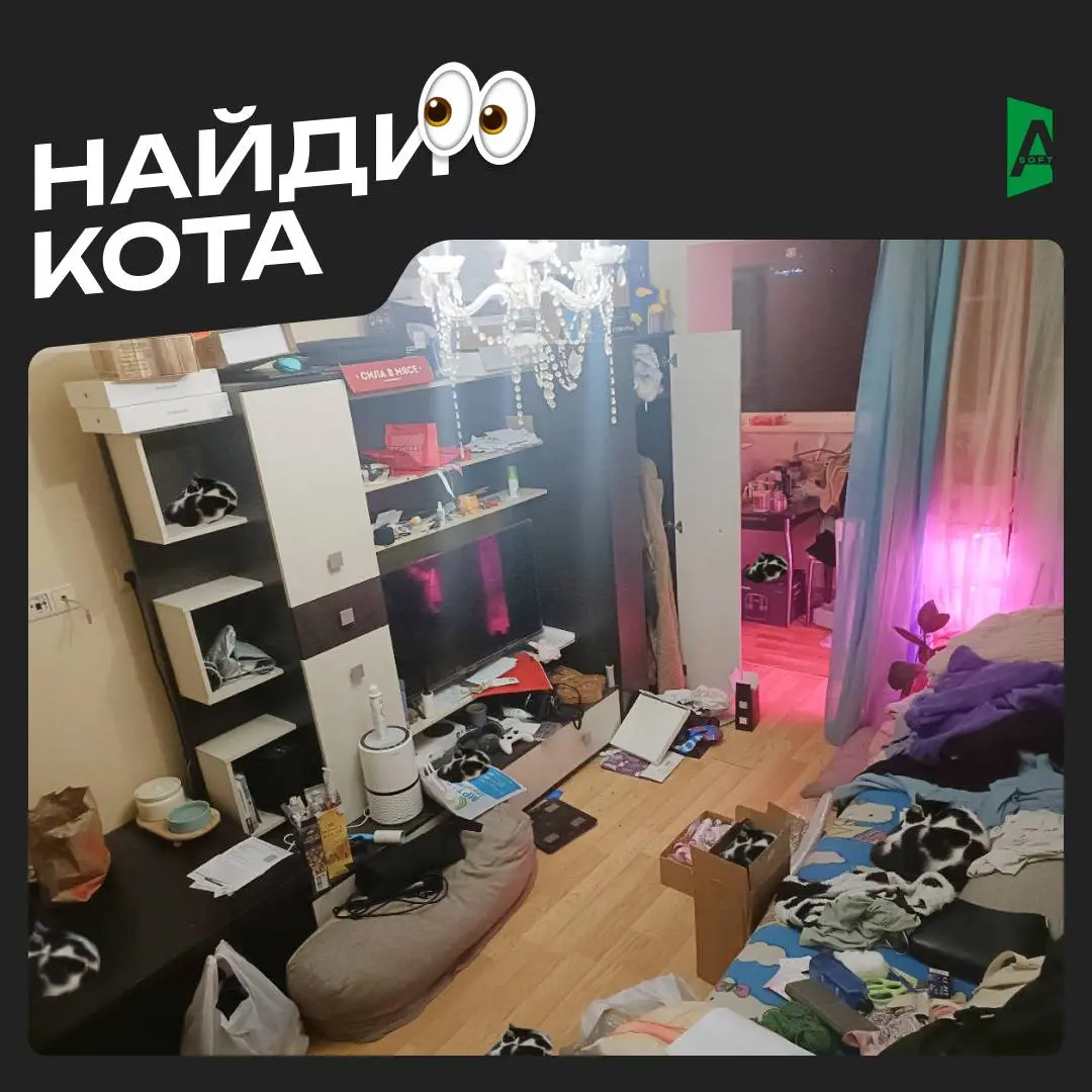 Сегодня #Зверопятница, коллеги-друллеги, но… в формате интерактива и теста на внимательность 😎
Внимательно посмотрите на фото и ответьте на вопросы:
– Сколько котов на фото?
– Какой из них настоящий?
... | Сетка — социальная сеть от hh.ru